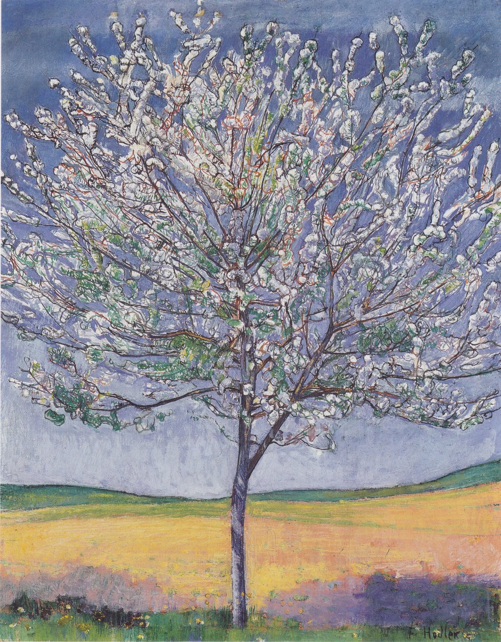 Blomstrende kirsebærtræ af Ferdinand Hodler