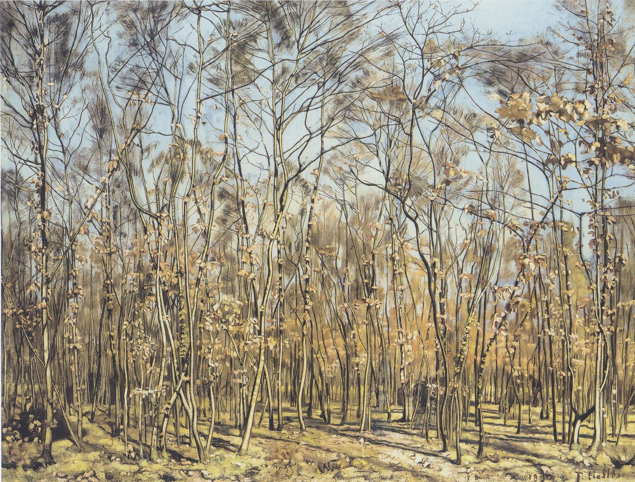 Bøgeskoven af Ferdinand Hodler
