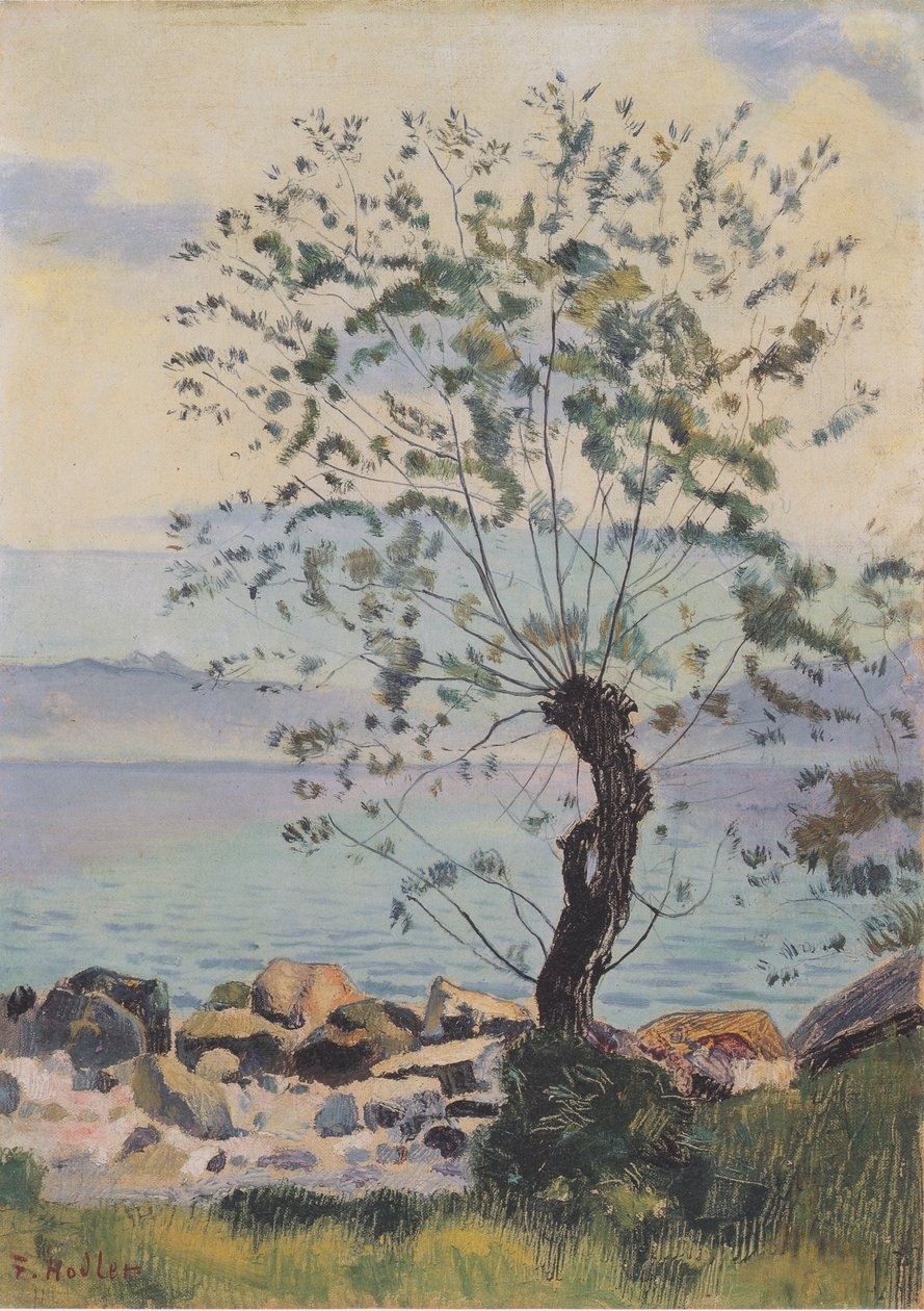 Weidebaum am See af Ferdinand Hodler