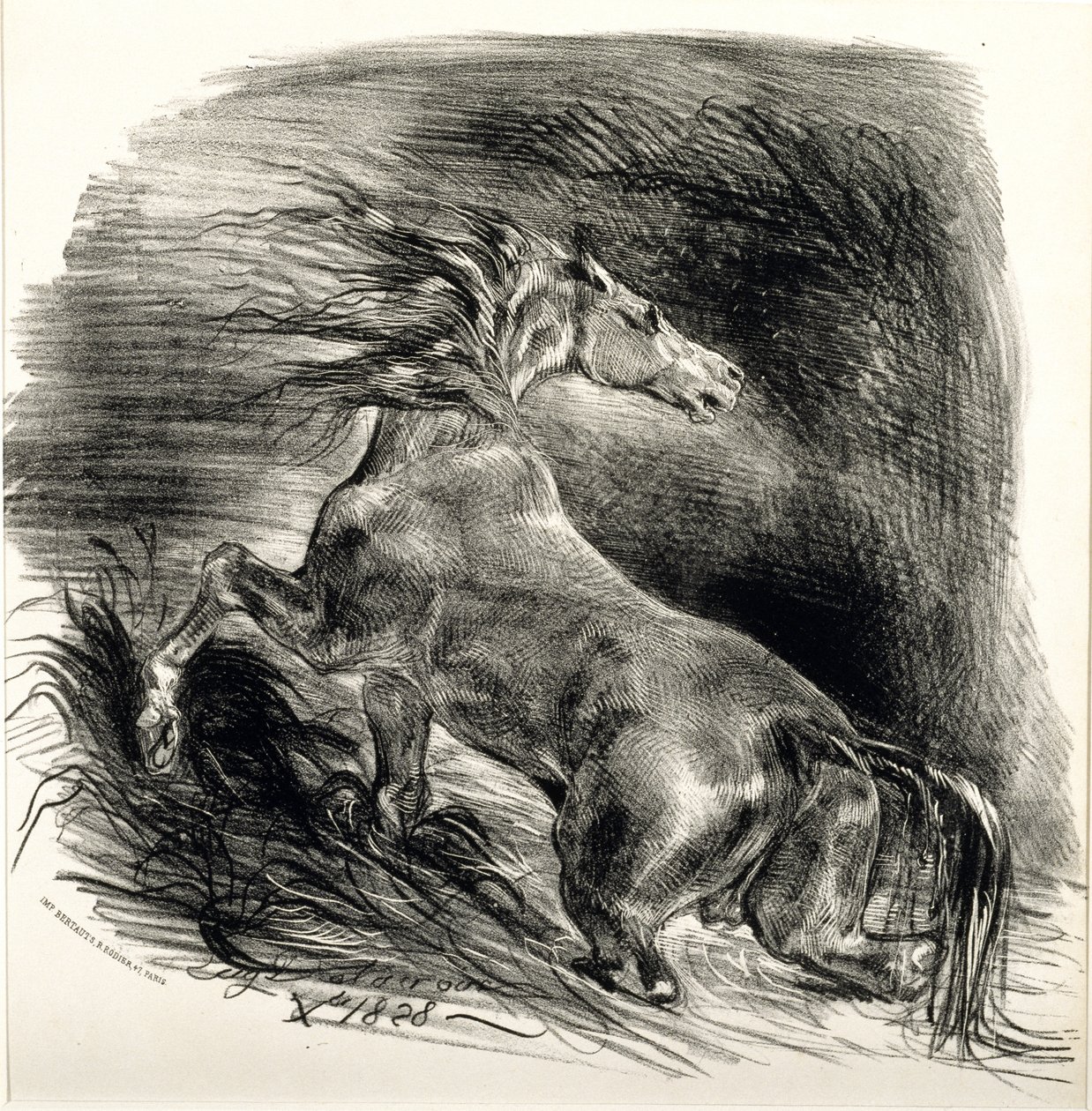 Cheval sauvage, 1828 (litho på vævet papir) af Ferdinand Victor Eugene Delacroix