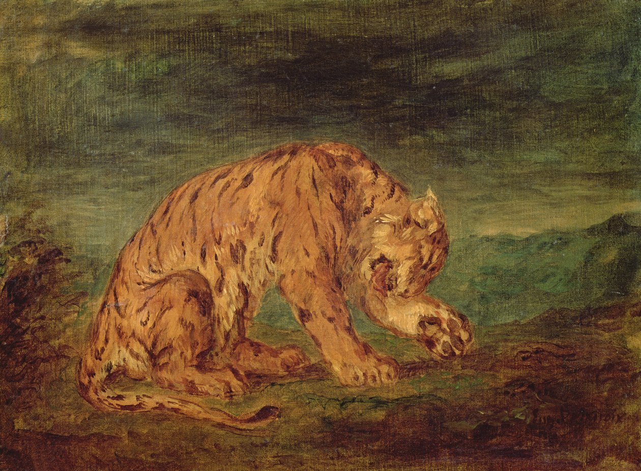 Tiger slikker en pote af Ferdinand Victor Eugene Delacroix