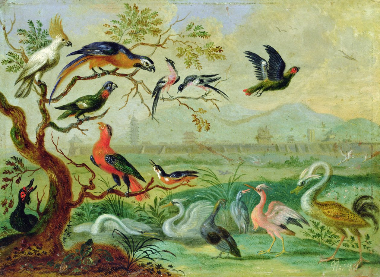 Fugle fra de fire kontinenter i et landskab med udsigt over Peking i baggrunden (olie på kobber) af Ferdinand van Kessel