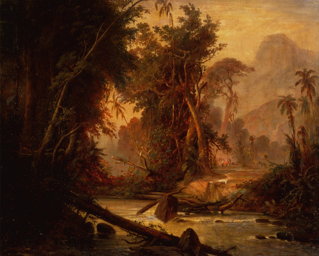 En tropisk skov i Venezuela (olie på lærred) af Ferdinand Bellermann
