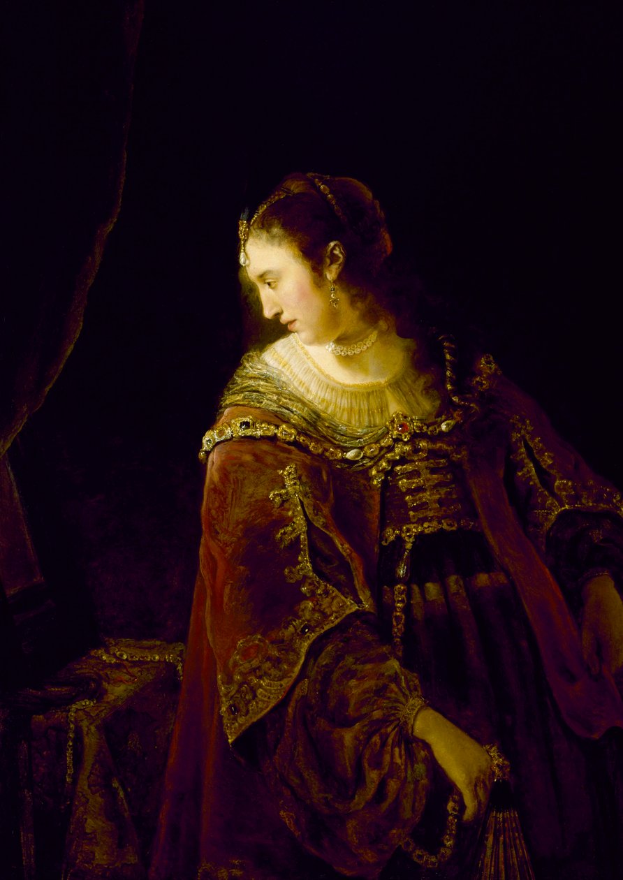 ""Femme a sa coiffeuse"" (Kvinde ved hendes toiletbord) Peinture de Ferdinand Bol (1616-1680) - vers 1645 - Olie på lærred Dim 128,9x91,8 cm Museum of Fine Arts, Houston af Ferdinand Bol