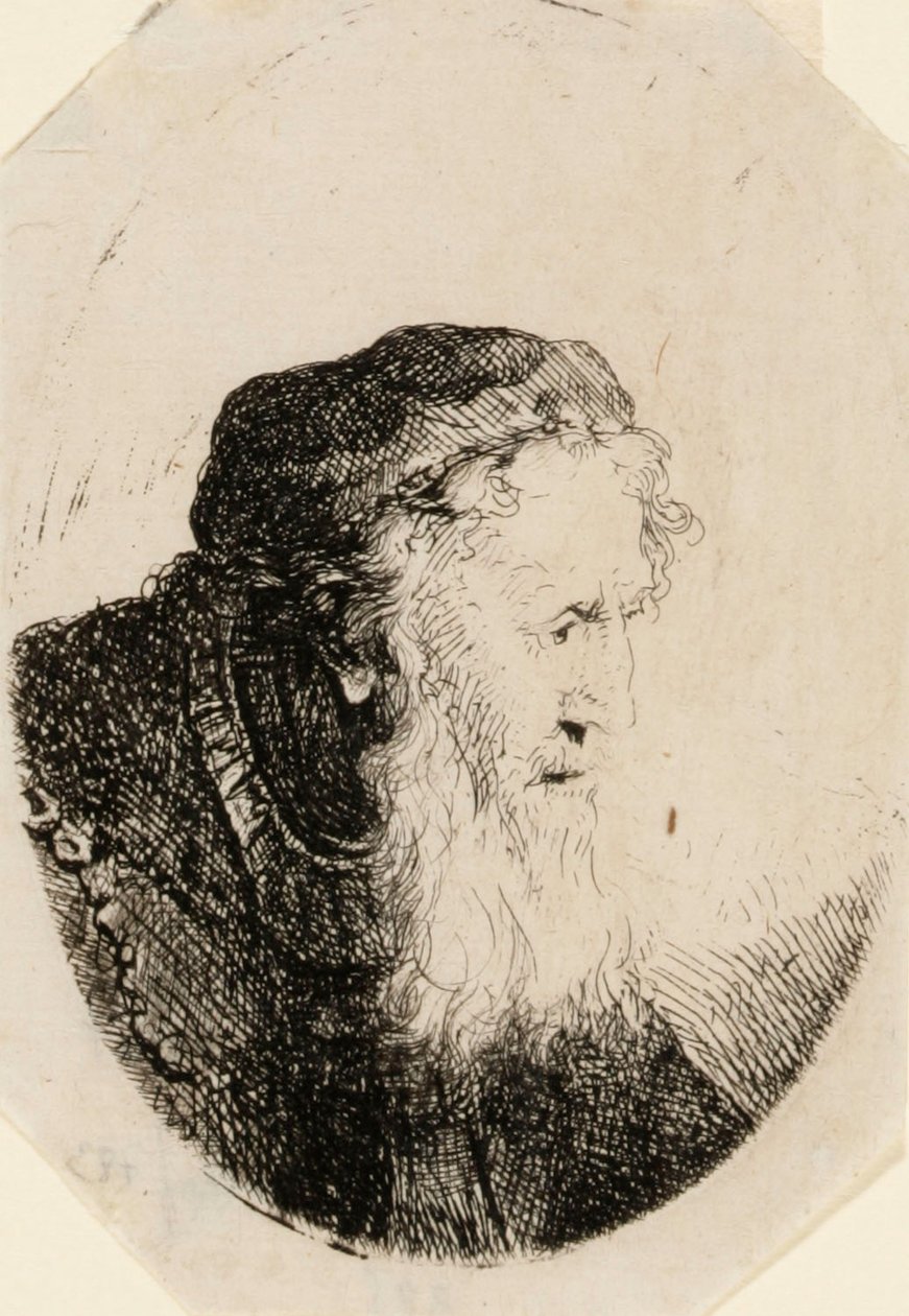 Gammel mand med bølgende skæg af Ferdinand Bol