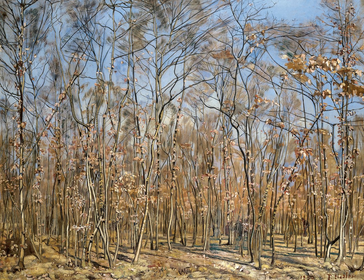 Bøgeskov, 1885-1894. af Ferdinand Hodler