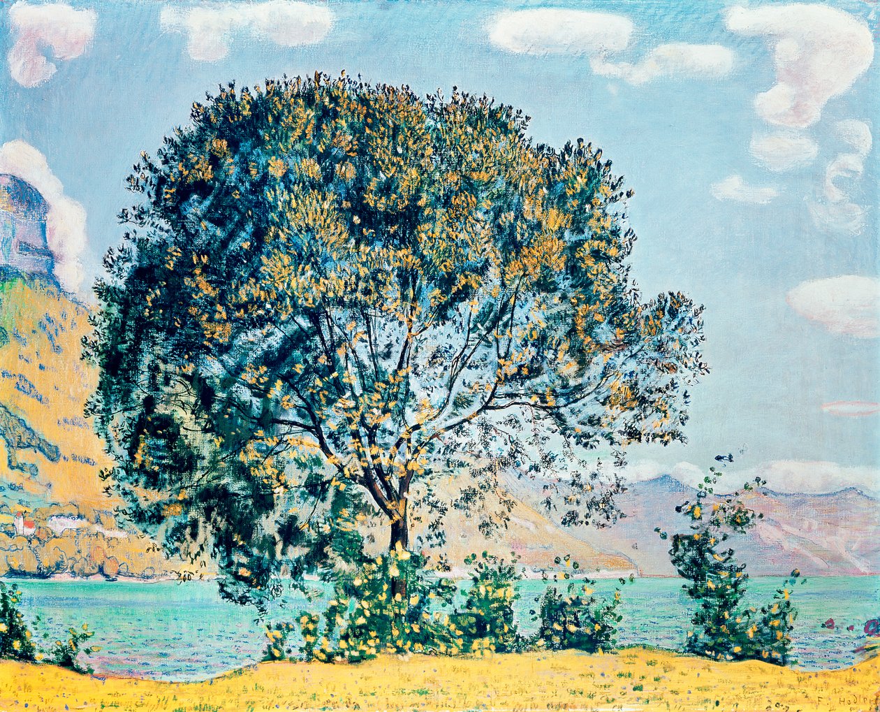 Ukendt billede af Ferdinand Hodler