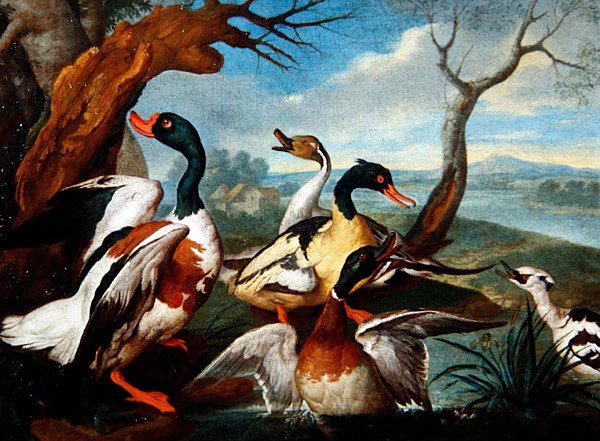 Ænder i et flodlandskab (olie på lærred) af Ferdinand Phillip de Hamilton
