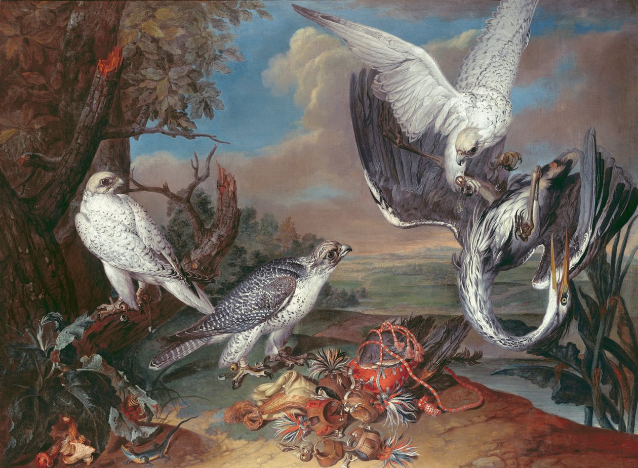 Grønlandske Cyr Falcons af Ferdinand Phillip de Hamilton