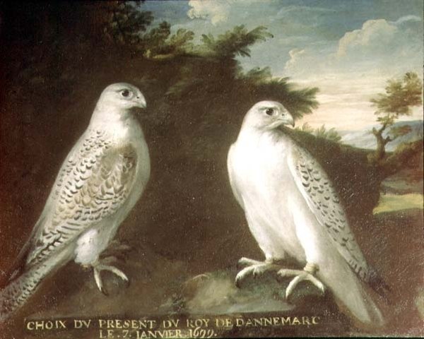 Et par Gyrfalcons i et Landskab af Ferdinand Phillip de Hamilton