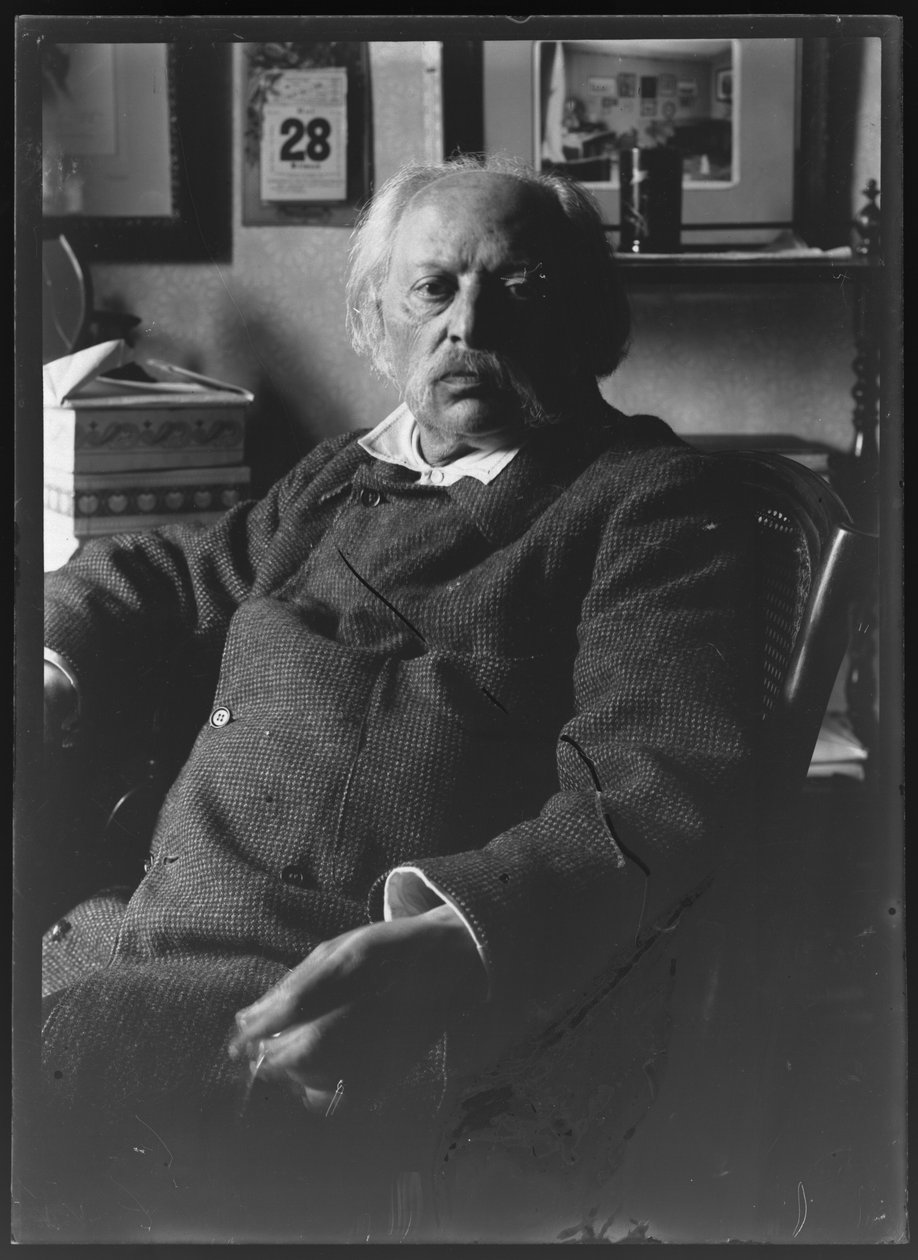 Billede af Charles guldmærke (1830-1915) af Ferdinand Schmutzer
