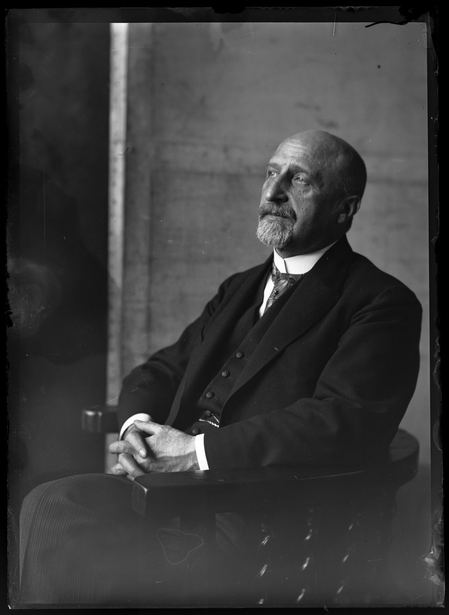 Billede af Karl Seitz (1869-1950) af Ferdinand Schmutzer