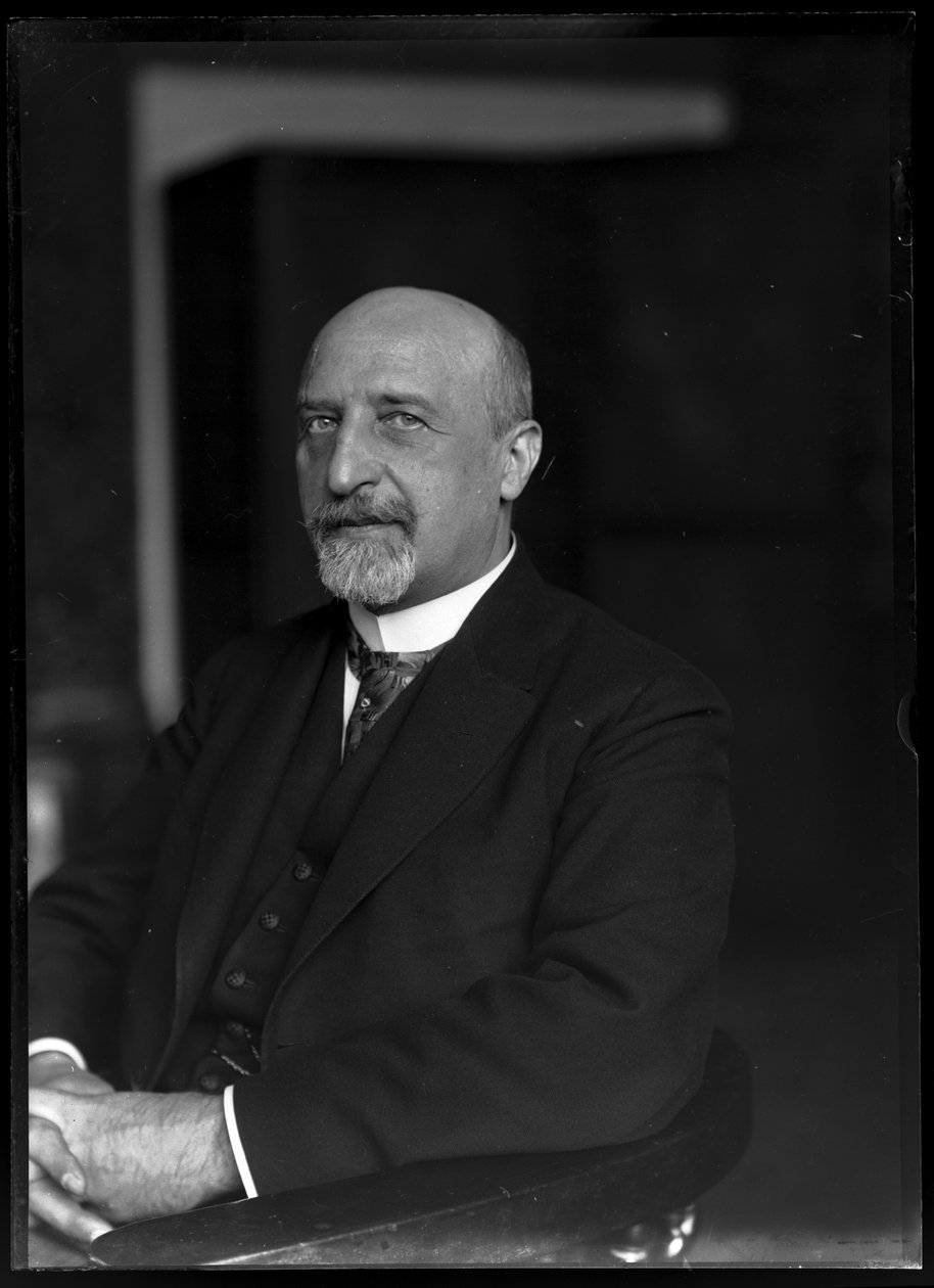 Billede af Karl Seitz (1869-1950) af Ferdinand Schmutzer