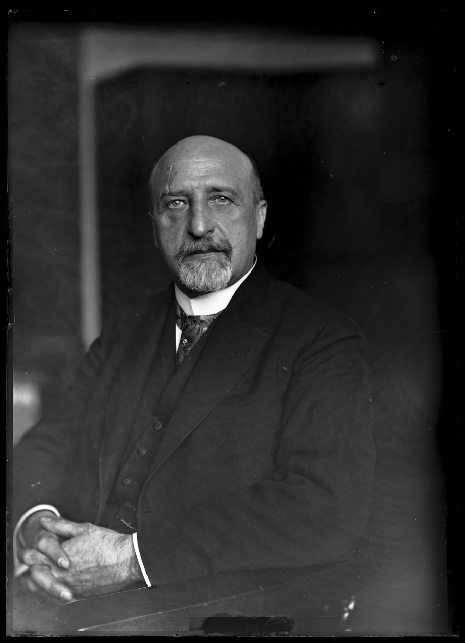 Billede af Karl Seitz (1869-1950) af Ferdinand Schmutzer