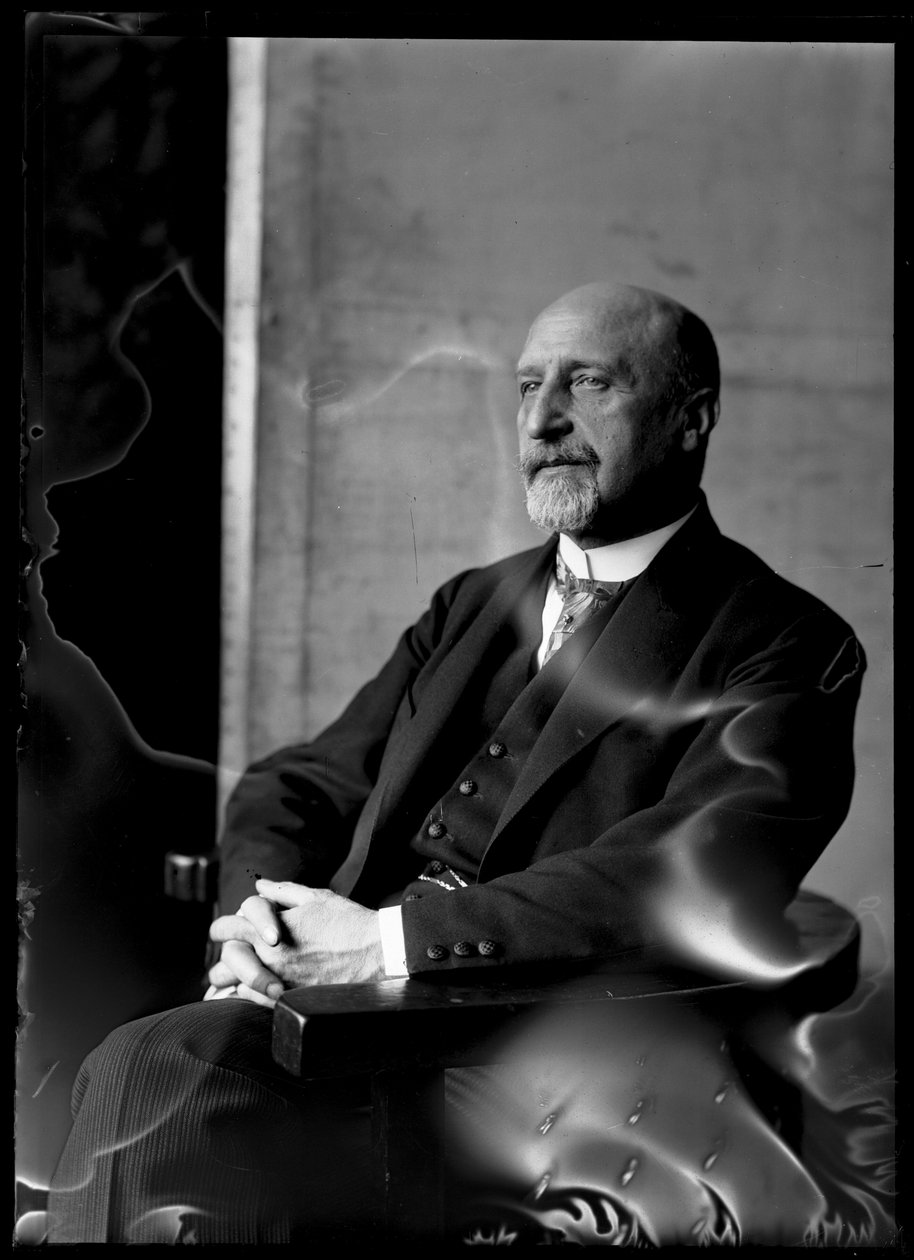 Billede af Karl Seitz (1869-1950) af Ferdinand Schmutzer