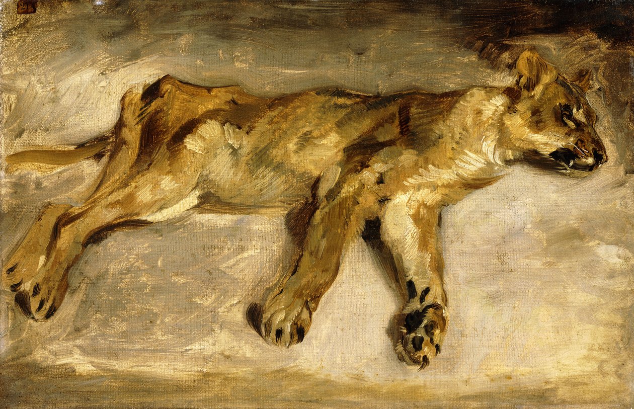 En sovende løvinde, ca. 1830 af Ferdinand Victor Eugene Delacroix