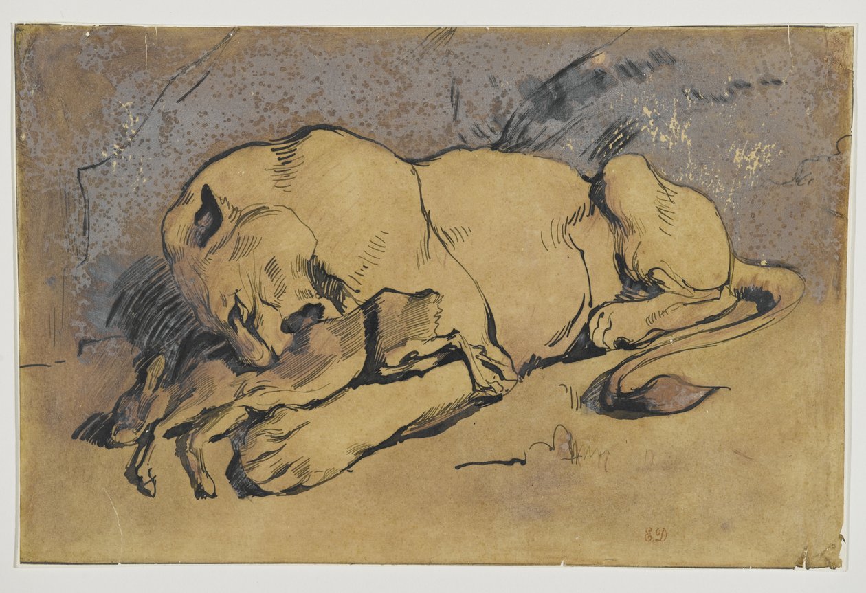 Løvinde fortærer en kanin (pen og blæk med rødlig vask på brunt papir) af Ferdinand Victor Eugene Delacroix