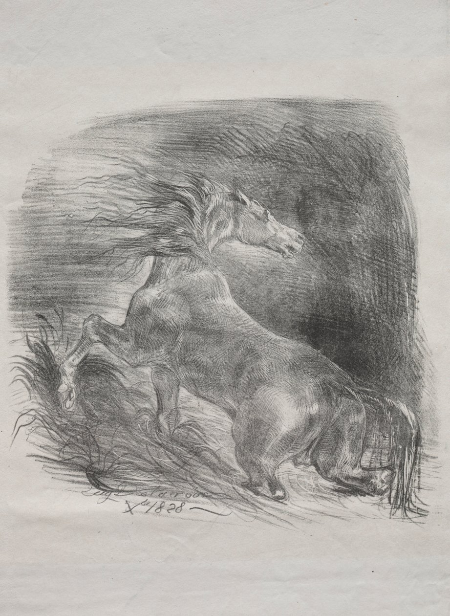 The Wild Horse, eller Frightened Horse Leaving the Water, 1828. af Ferdinand Victor Eugene Delacroix
