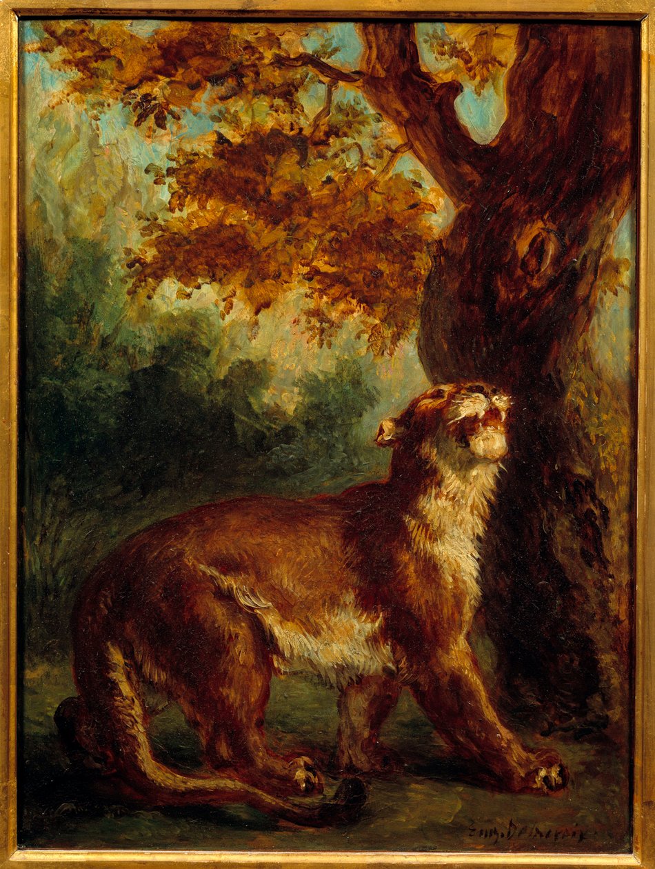 Pumaen siger også, at løvinden ser ud efter et bytte. Maleri af Eugene Delacroix (1798-1863) af Ferdinand Victor Eugene Delacroix