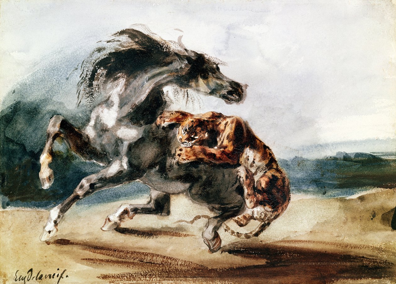 Tiger angriber en vild hest (pen & blæk og akvarel på papir) af Ferdinand Victor Eugene Delacroix