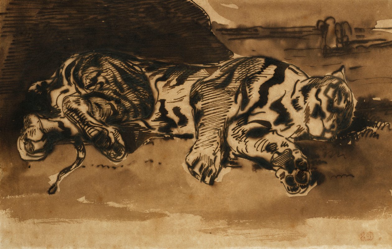Tiger liggende; Tigre sofa, 1858 af Ferdinand Victor Eugene Delacroix