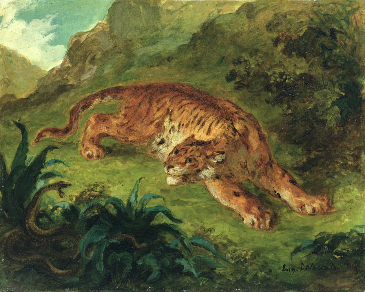 Tiger and Snake, 1858 (olie på papir monteret på panel) af Ferdinand Victor Eugene Delacroix
