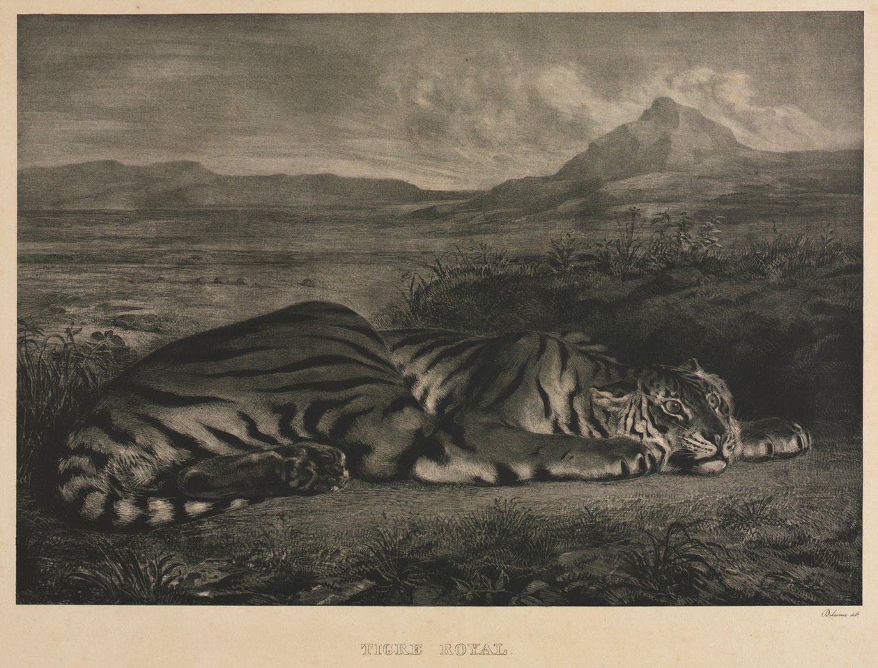 Royal Tiger, 1829. af Ferdinand Victor Eugene Delacroix
