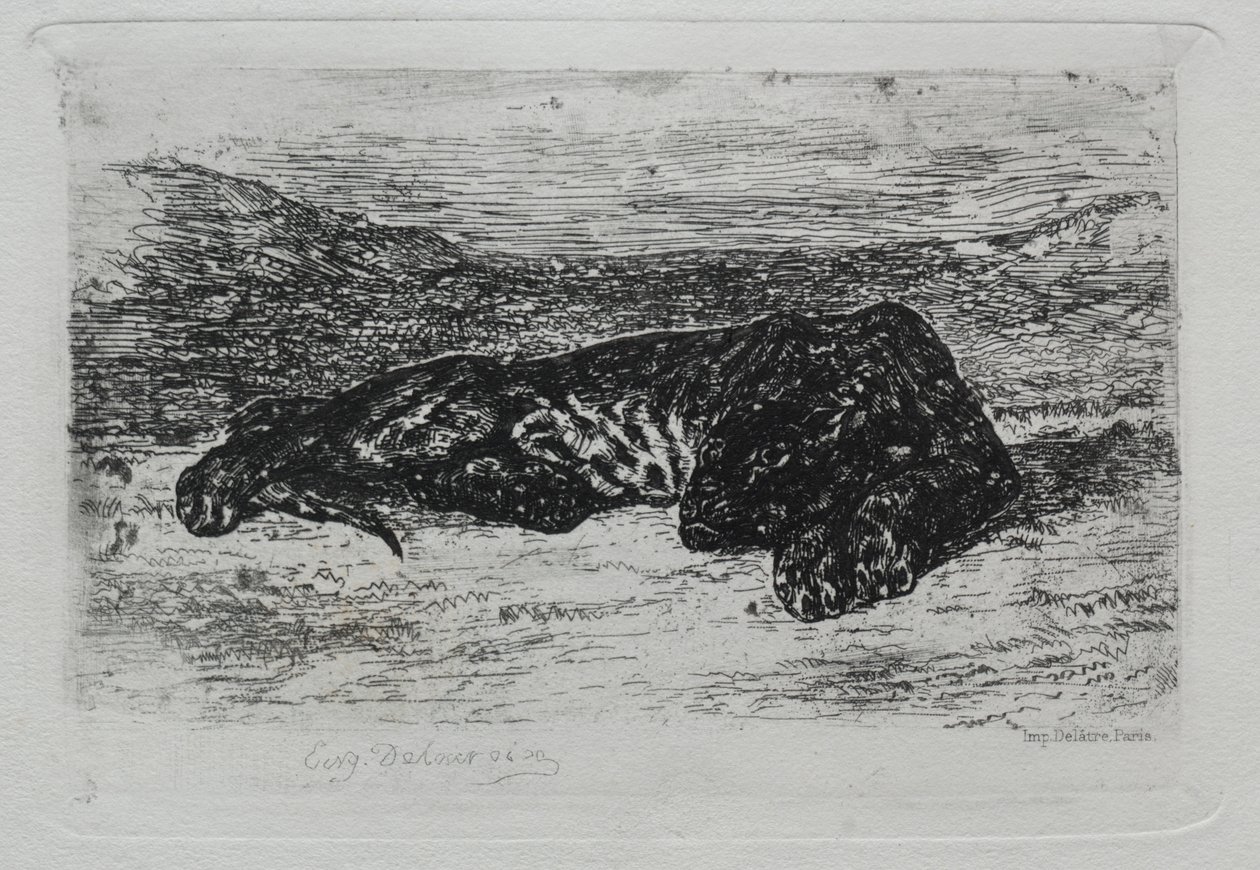 Tiger liggende i ørkenen. af Ferdinand Victor Eugene Delacroix