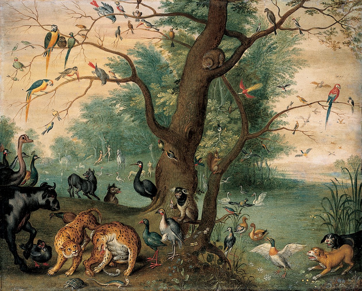Dyr og fugle i Edens have af Ferdinand van Kessel