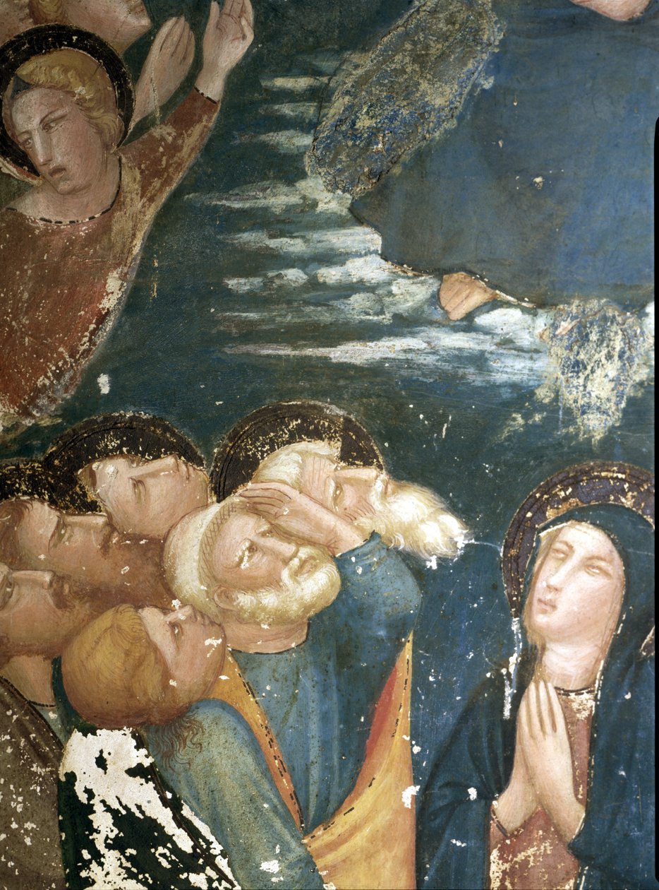  af Ferrer Bassa