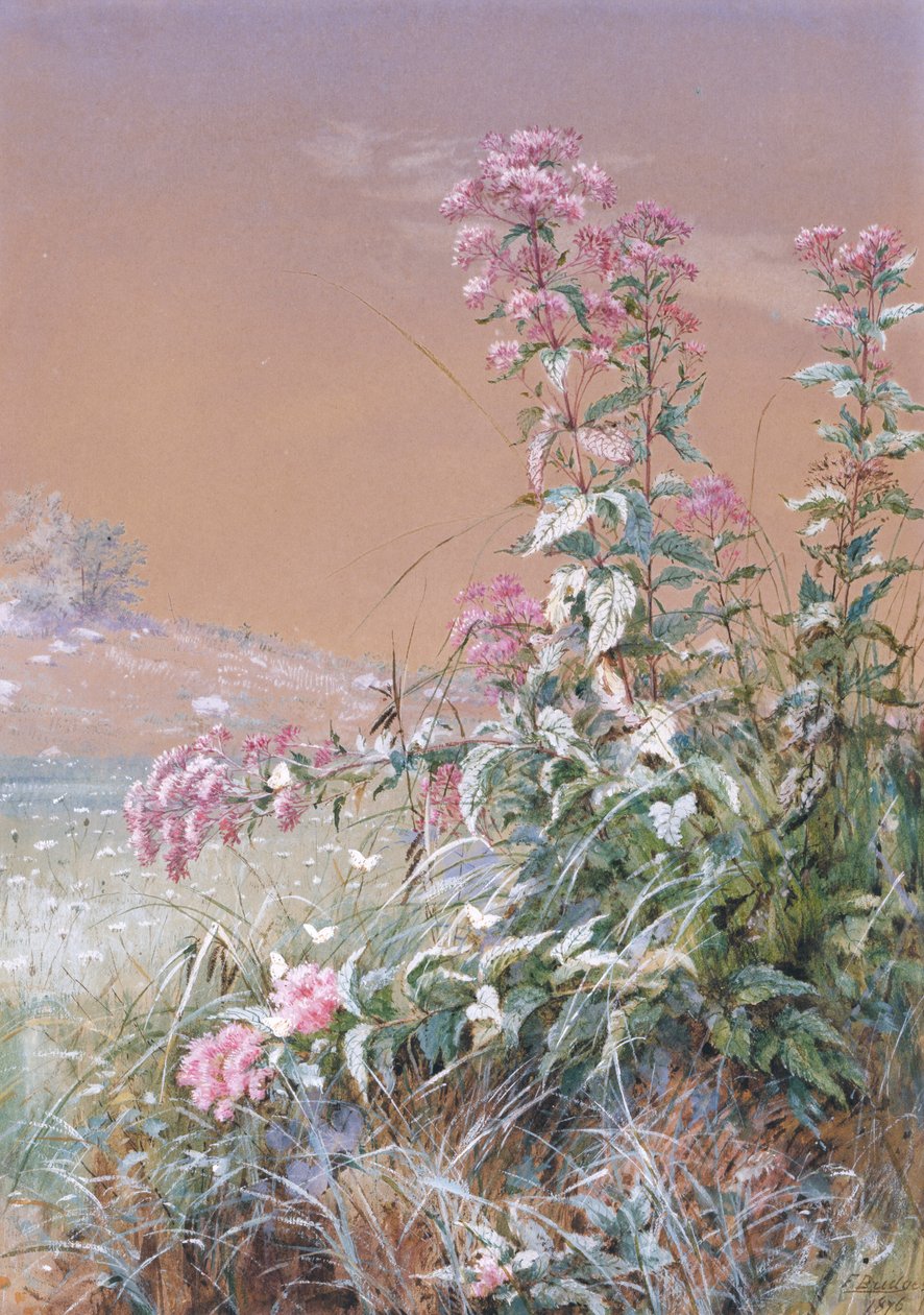 Uden titel, 1876. af Fidelia Bridges