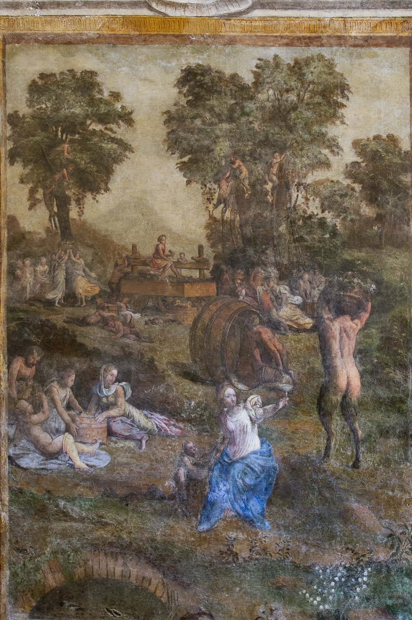 "Harvest", detalje fra Camerino dei Baccanali (frisk) af Filippino (and workshop) Lippi