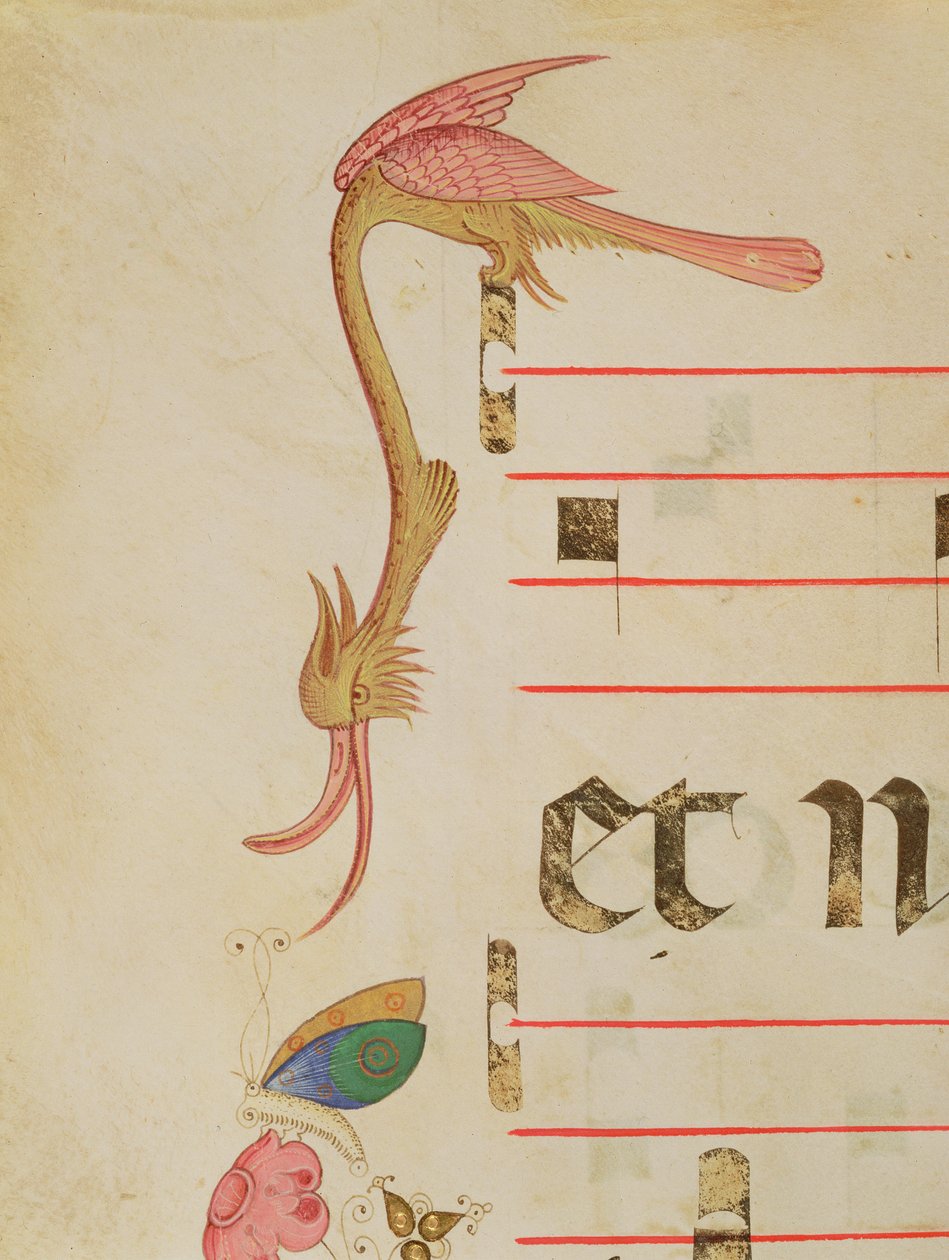Missal 515 f.9r Fantastisk fugl på jagt efter en sommerfugl, detalje af en dekorativ kant fra en kirkebog, udført før 1449 af Filippo di Matteo Torelli