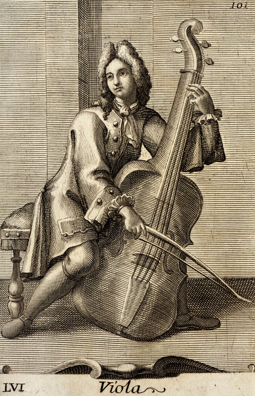 Mand spiller bratsch af Filippo Bonanni