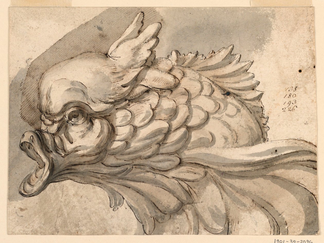 Tegning, Hoved af en delfin, ca. 1775 af Filippo Marchionni