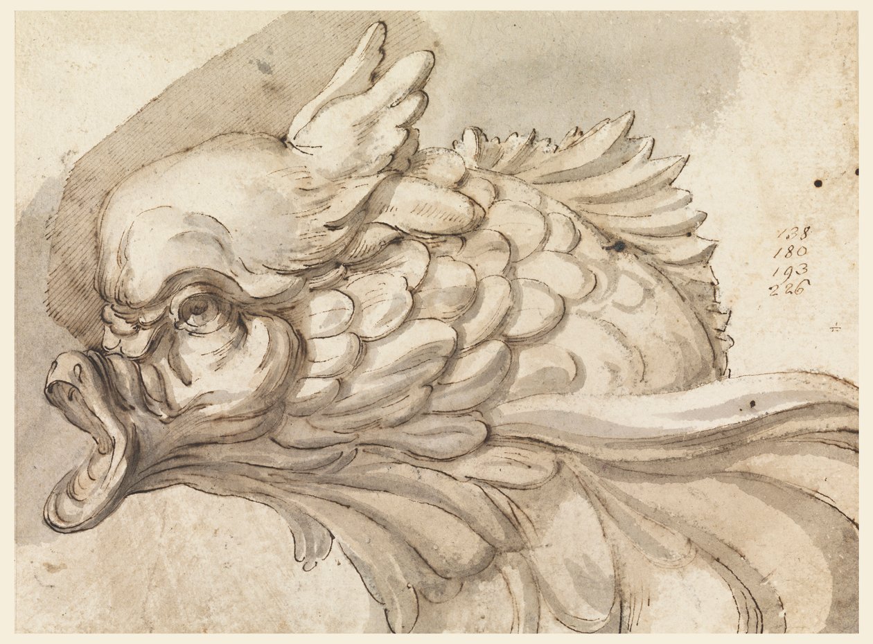 Tegning, hoved af en delfin, ca. 1775 af Filippo Marchionni