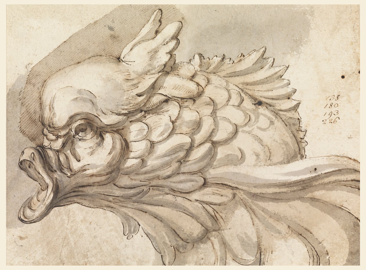 Hovedet af en delfin af Filippo Marchionni