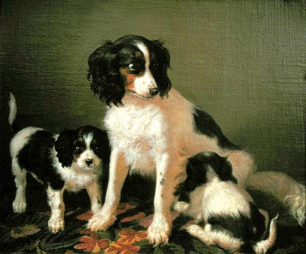 En spaniel med to hvalpe (olie på lærred) af Filippo Palizzi