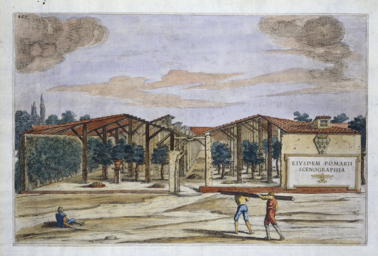 A Covered Orchard, from Hesperides af Giovanni Battista Ferrari, graveret af Camillo Congio (fl.1630), udgivet 1646 (håndfarvet gravering) af Filippo after Gagliardi