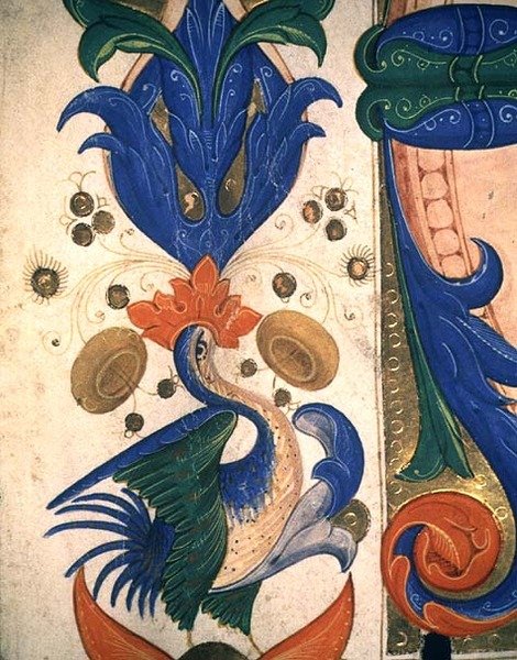 Missale 515 1r Zoomorfe bladbånd, detalje fra en kirkebog, udført før 1449 (detalje af 88903) af Filippo di Matteo Torelli