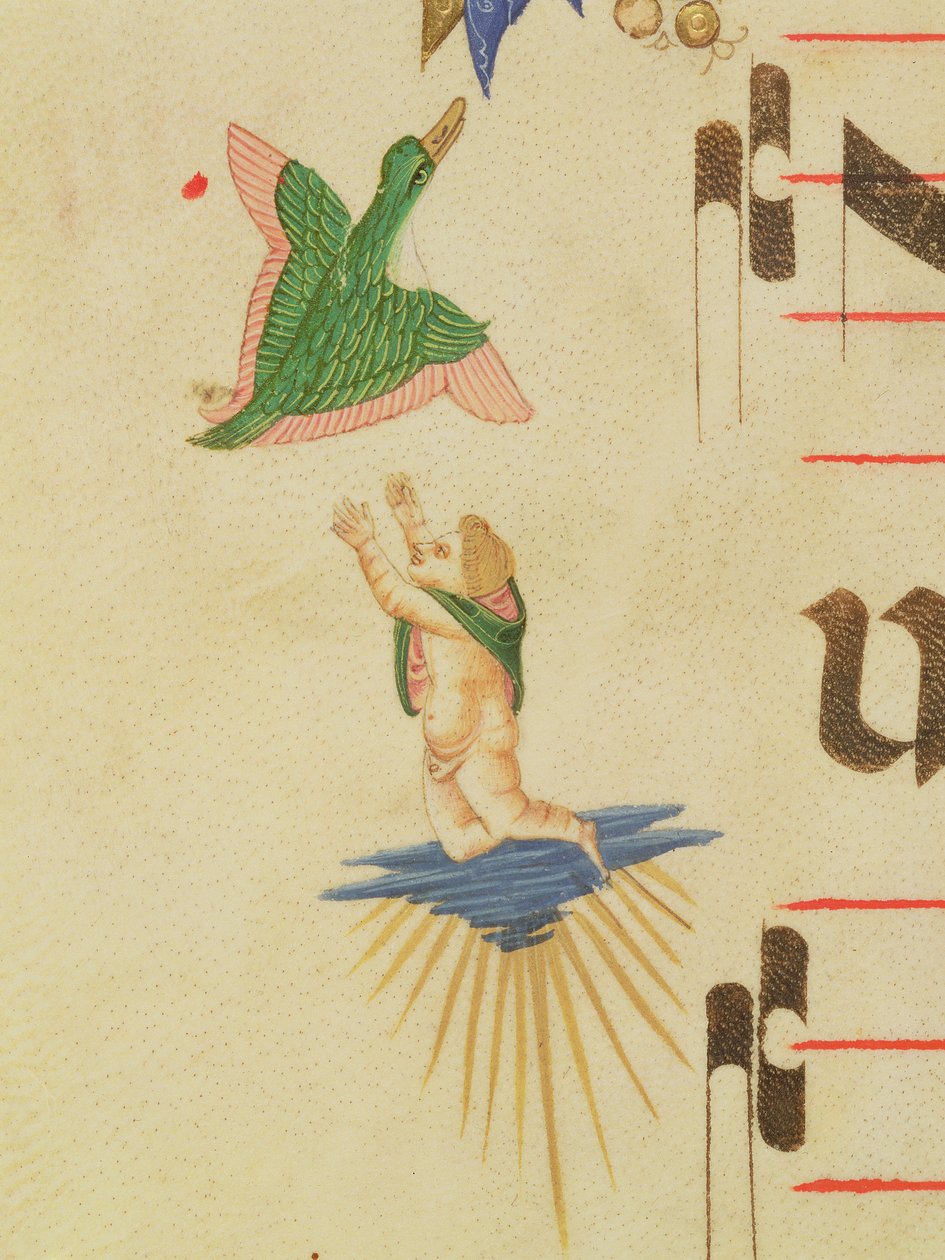 Missal 515 f.13v En kappet kerub, der forsøger at fange en flyvende fugl, fra en dekorativ kant, detalje fra en korbog udført før 1449 vellumdetalje af 56721 af Filippo di Matteo Torelli