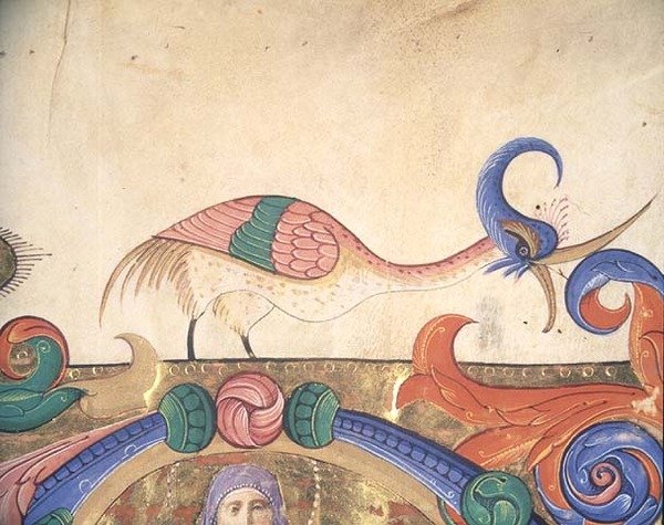 Missal 515 f.169r Fantastisk fugl, detalje af dekorationen omkring en historisk initial fra en korbog udført før 1449 (vellum) (detalje af 56720) af Filippo di Matteo Torelli