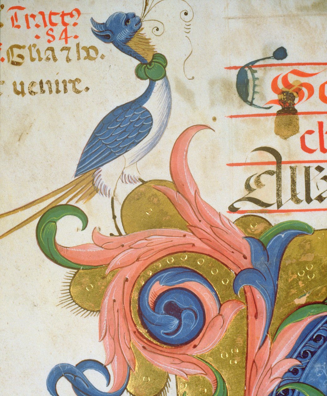 Missal 515 f.28v Fantastisk fugl med menneskehoved stående på hjørnet af en historisk initial, detalje fra en korbog udført før 1449 vellumdetalje af 56724 af Filippo di Matteo Torelli