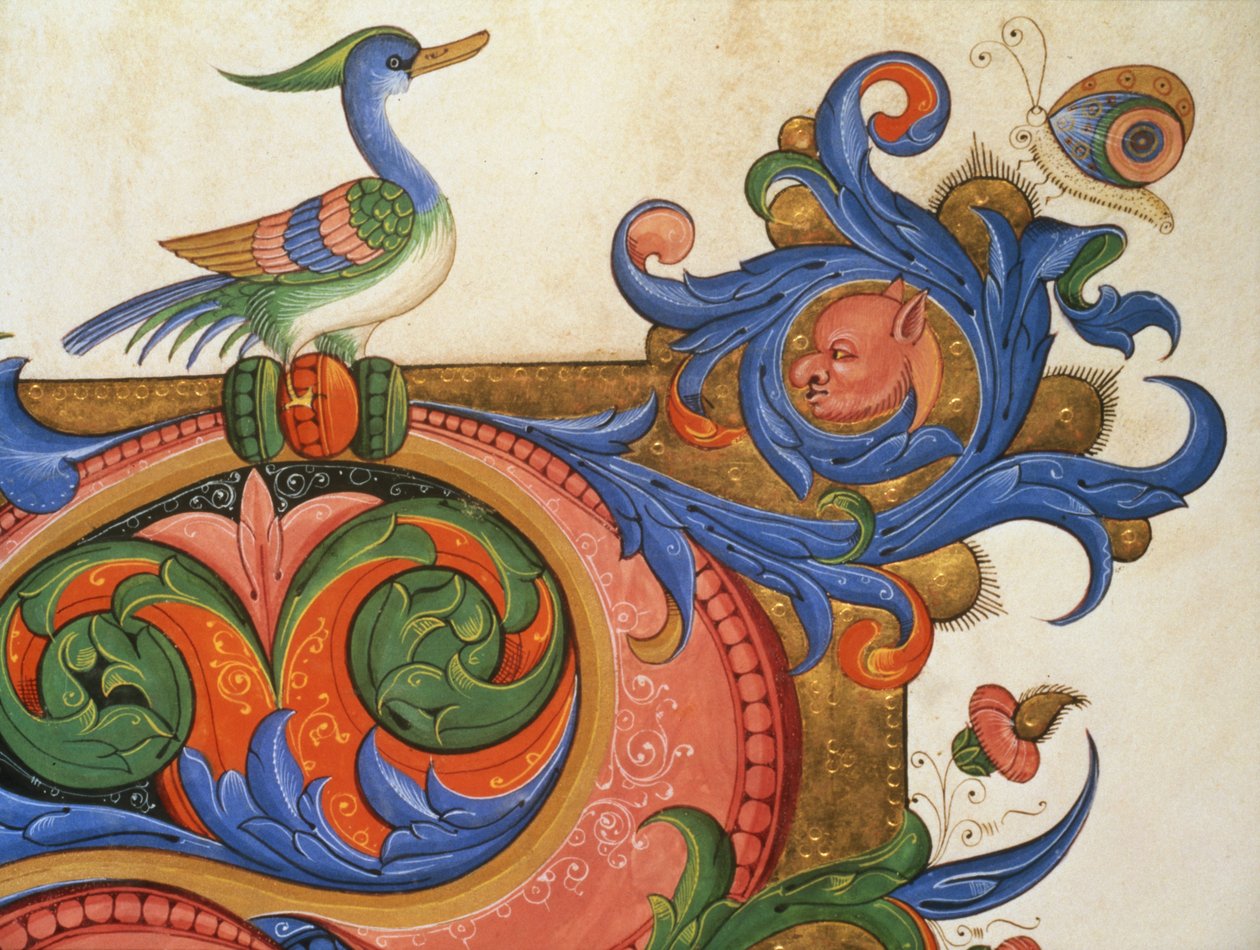 Missal 515 f.92v Zoomorfisk løv med andelignende fugl og sommerfugl, dekorationsdetalje omkring en historisk initial fra en korbog udført før 1449 vellum af Filippo di Matteo Torelli