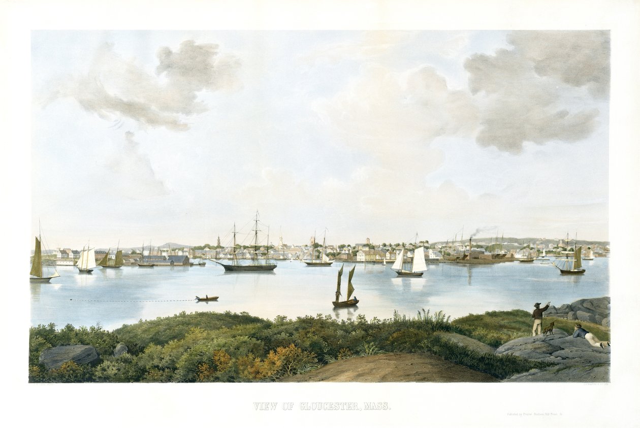 Udsigt over Gloucester, Mass., ca. 1856 (kromolitografi) af Fitz Henry (attr.to) Lane