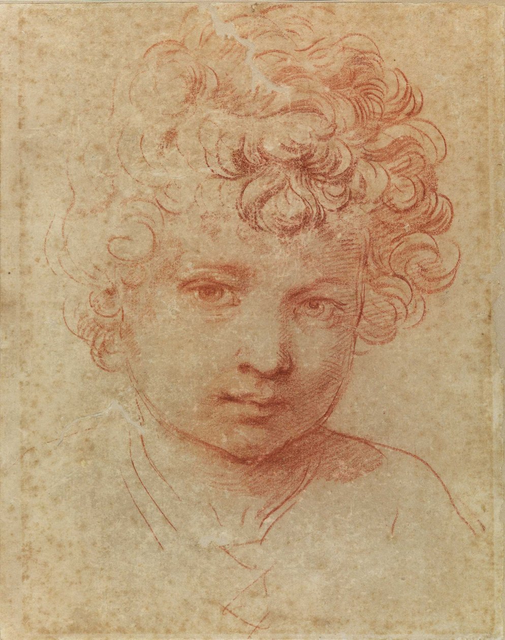 Leder af et barn af Flaminio Torre