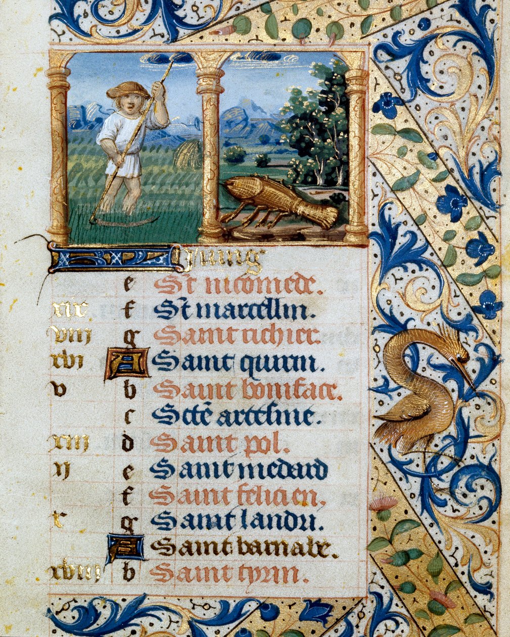 Kalender, juni, en bondeklipning og kræftens tegn. Side taget fra en timebog ms. 47, oplyst af den flamske skole. Badia de 