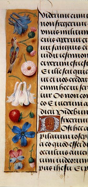 Ms. 1058-1975, f.22v: detalje af en blomsterkant fra en timebog, ca. 1500 (vellum) af Flemish School