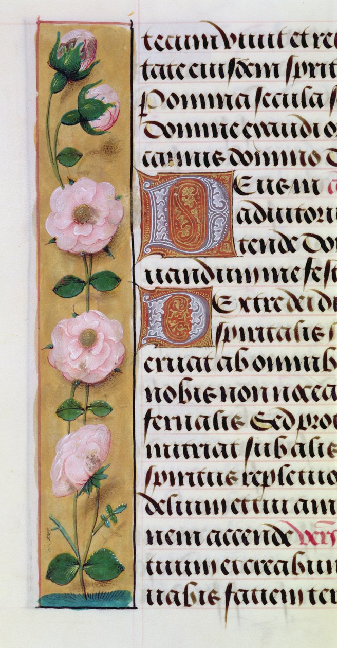 Ms. 1058-1975, f.34v: detalje af en blomsterkant fra en Timebog, ca. 1500 af Flemish School