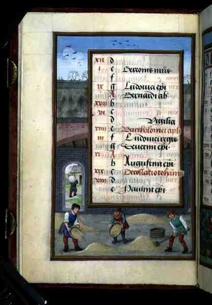 Ms 1058-1975 f8v Kornhøstning i en lade, illumineret kalenderblad for august, fra en tidebog, ca. 1500 (pergament) af Flemish School